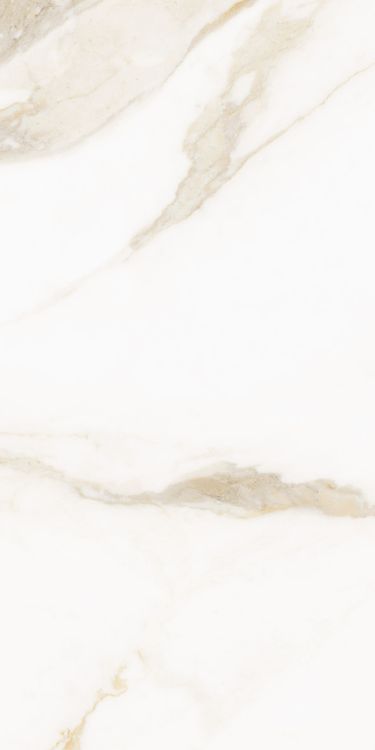 Classy Warm White Matte 12 x 24